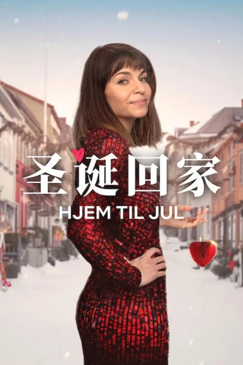 圣诞寻伴 第三季